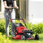 Motorna kosačica 51 cm 4,1 KS MS173-51 Scheppach - Slika 3