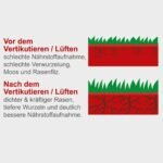 Prozračivač travnjaka 40 cm 4 kW SC55P Scheppach - Slika 4