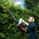 Motorni trimer za živu ogradu 1 KS HTH250/240P Scheppach - Slika 6